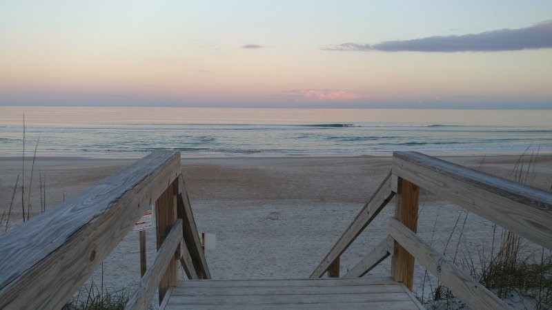 Photo of Sand Dollar's Calm Ocean&conn=none